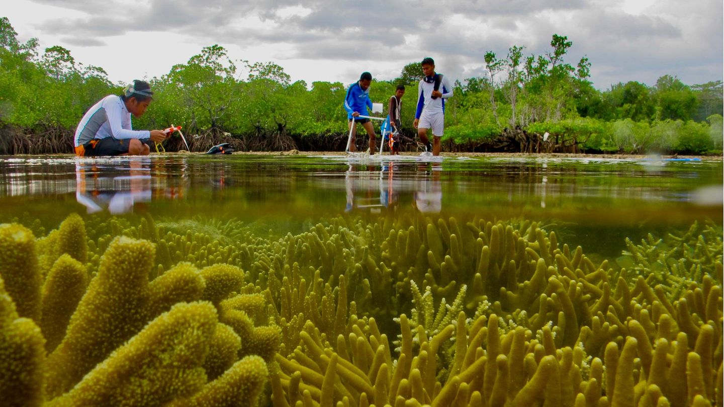 "Healthy Ecosystem" von Fakhrizal Setiawan Indonesien Junge Menschen stehen im Wasser