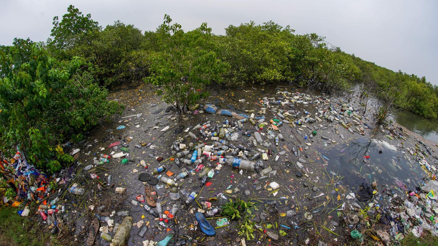 Eine riesige Ansammlung von Müll inmitten von Bäumen und Wasser