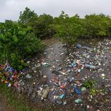 Eine riesige Ansammlung von Müll inmitten von Bäumen und Wasser