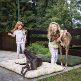 Zwillinge Angela und Sofia spielen mit Adoptivhunden