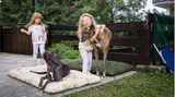 Zwillinge Angela und Sofia spielen mit Adoptivhunden