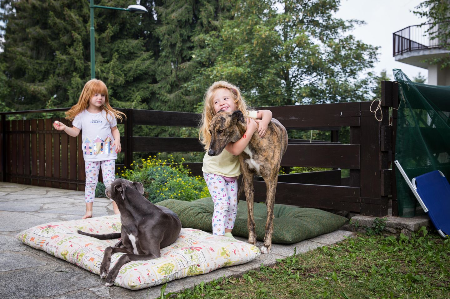 Zwillinge Angela und Sofia spielen mit Adoptivhunden