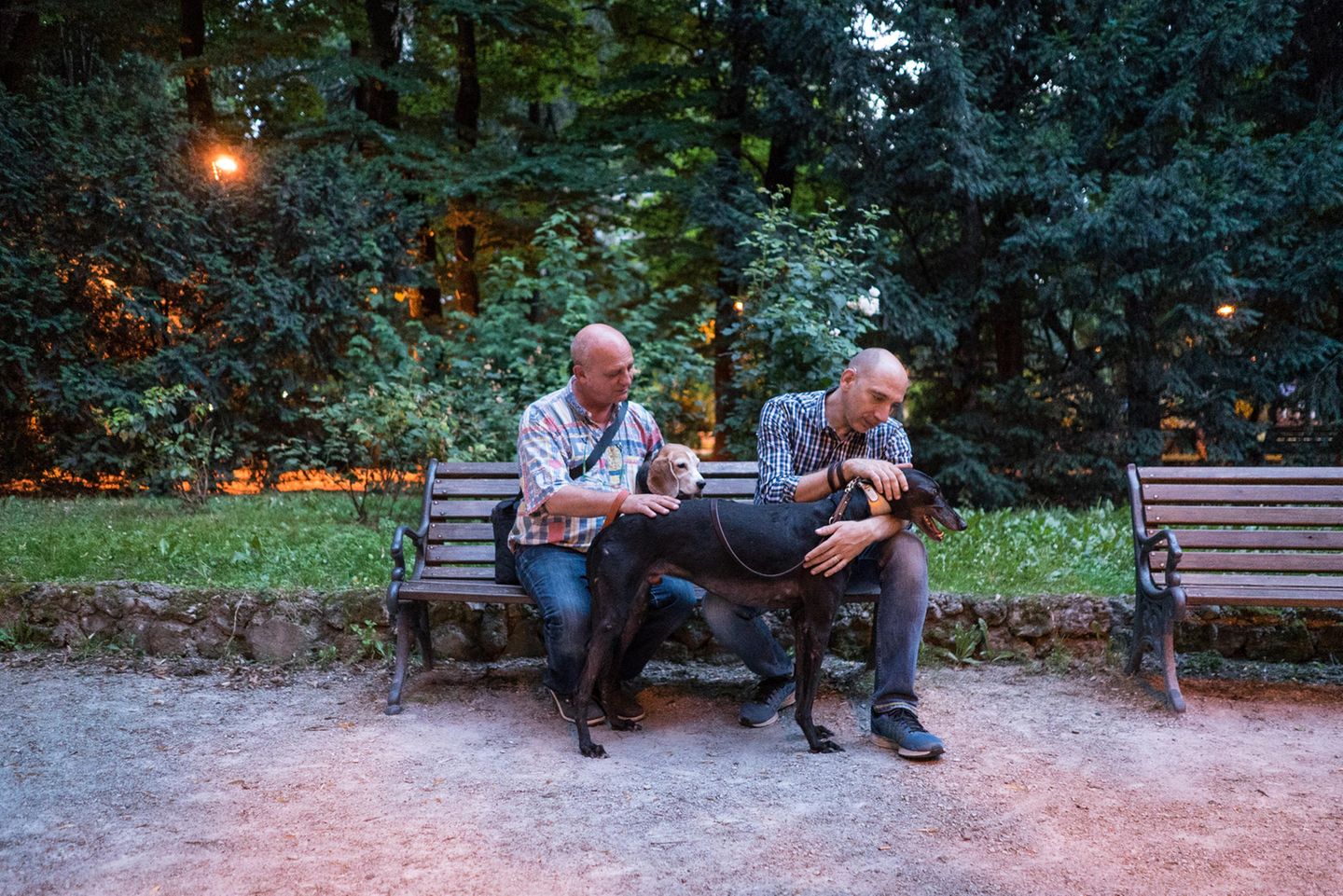 Mauro und Alessandro mit ihren Hunden Eragon und Fiaba auf einer Parkbank