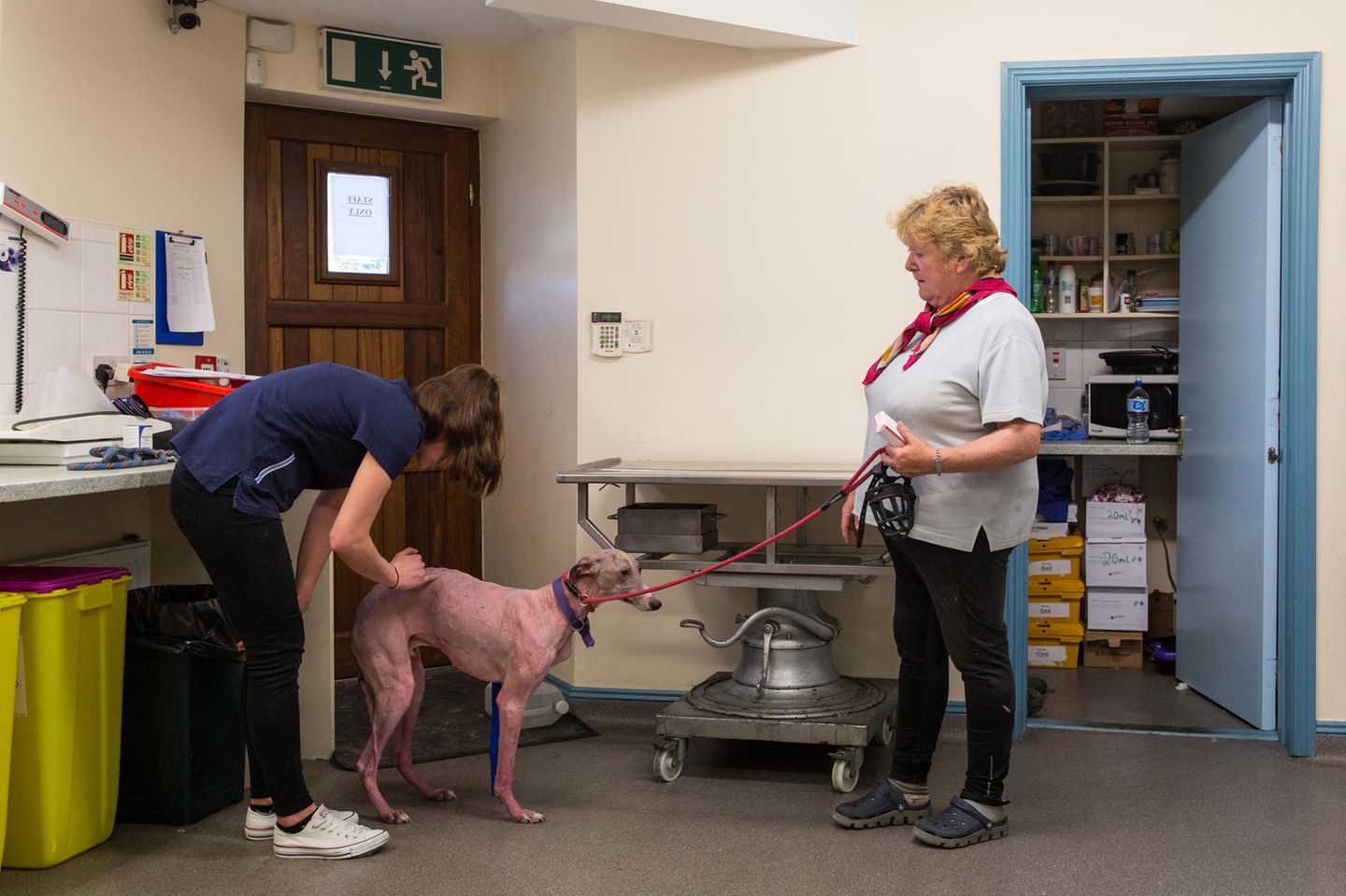 Fiona mit ihrem Windhund beim Tierarzt