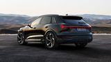 Audi SQ8 e-tron quattro