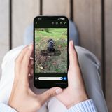 Whatsapp Bilder einmalig