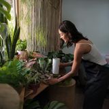 Eine Frau platziert ihre Zimmerpflanzen auf einer Fensterbank.