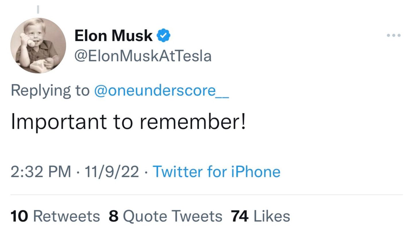Auch Elon Musk wird durch den Kakao gezogen: Nur sein Benutzername, das @handle, weist darauf hin, dass es sich nicht um den echten Musk handelt.