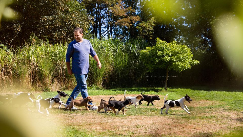 Martin Rütter über die größten Erziehungsfehler bei Hunden STERN.de