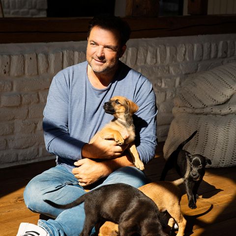 Martin Rütter entouré de chiots