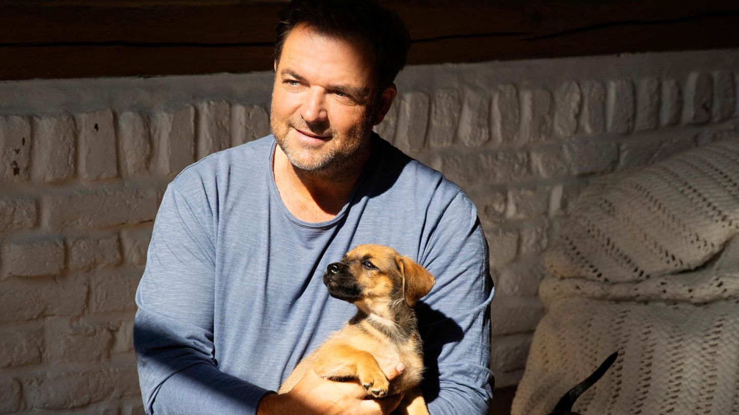 Tipps-vom-Profi-Hundetrainer-Martin-R-tter-Das-sind-die-drei-gr-ten-Erziehungsfehler
