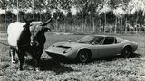Lamborghini - Wappentier Kampfstier