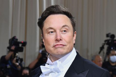 Elon Musk als ziegenartige Statue