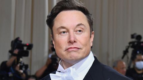 Elon Musk als ziegenartige Statue