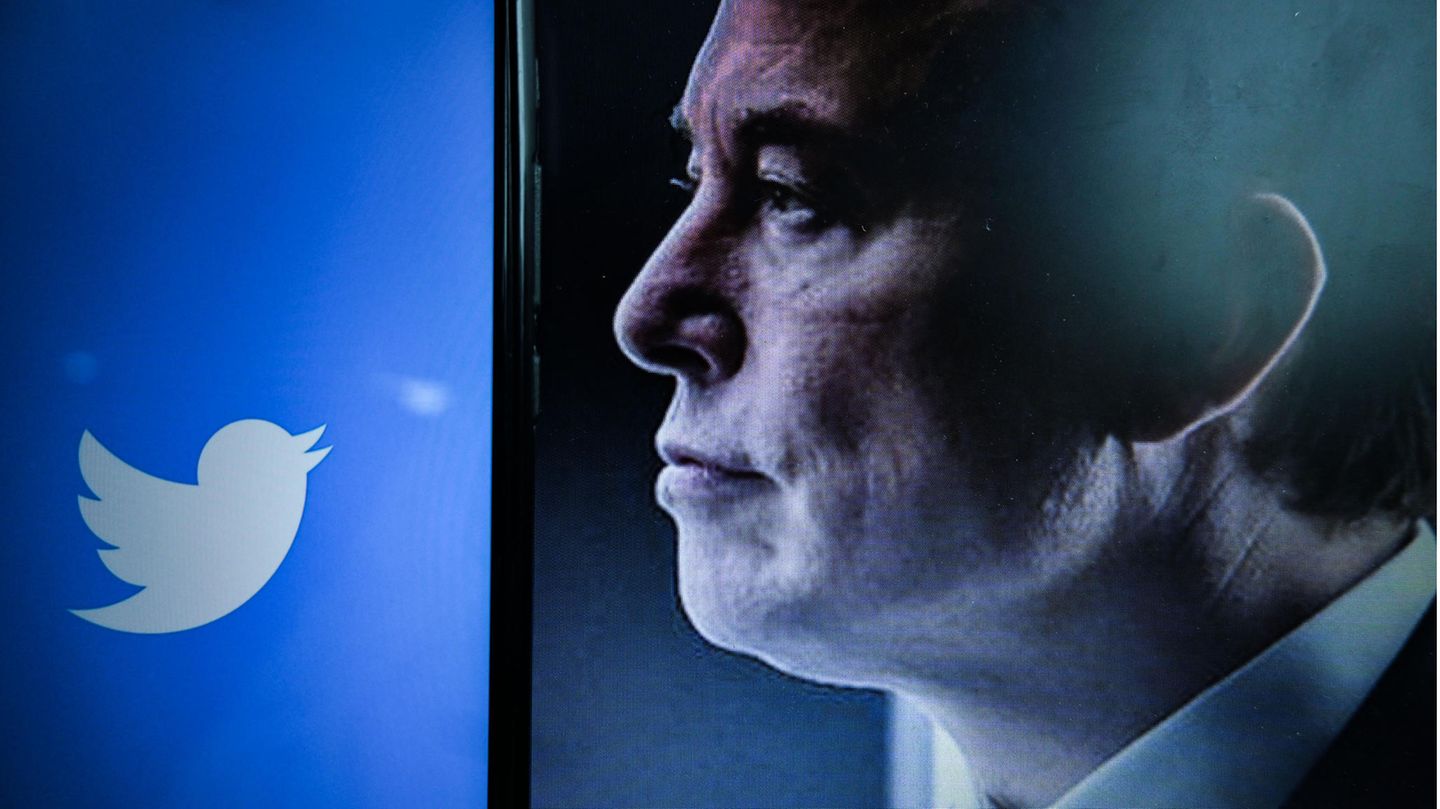 Elon Musk schaut dem Twitter-Symbol entgegen