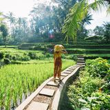 Bali  Die indonesische Insel gilt mittlerweile als echter Hotspot für digitale Nomaden. Vor allem in den Städten Balis tummelt sich deshalb ein internationales Klientel in den Strandbars und Hostels. Kein Wunder also, dass das paradiesische Reiseziel auch für alleinreisende Frauen eine gute Adresse ist. Es gibt eine gute Infrastruktur, viele Möglichkeiten, andere Urlauberinnen kennenzulernen – und unzählige sehenswerte Orte zu erkunden