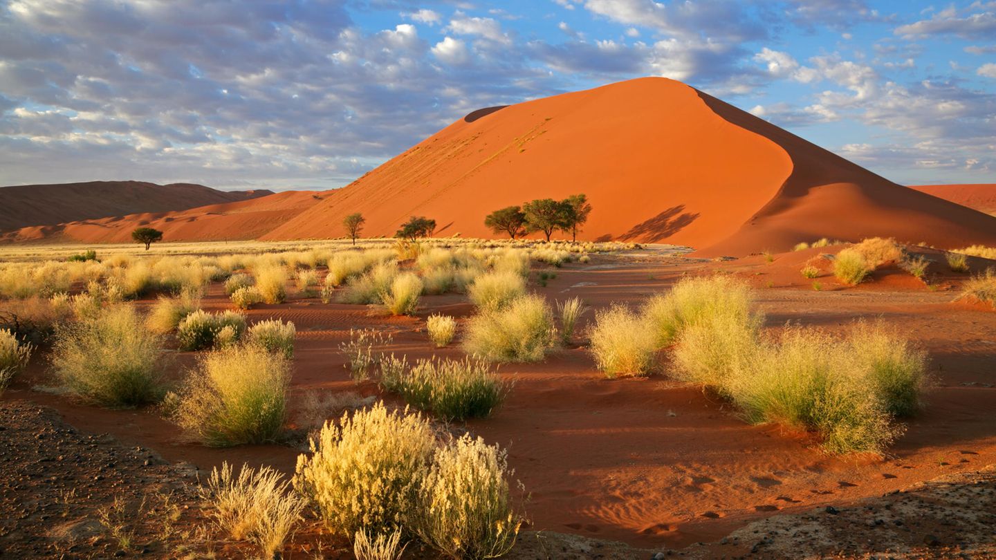 Blick auf die rote Wüste in Namibia