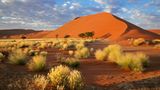 Blick auf die rote Wüste in Namibia.