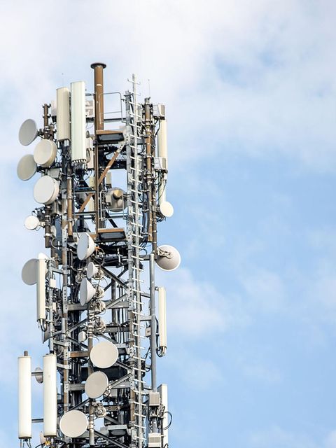 Frauke Liebs – Die Suche nach dem Mörder