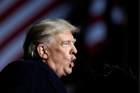 Porträt Donald Trump