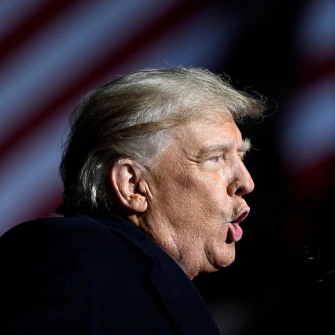 Porträt Donald Trump
