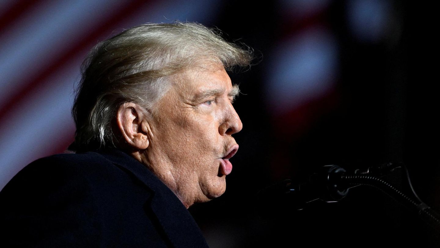 Porträt Donald Trump Porträt Donald Trump