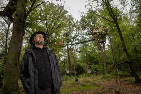 Biologe Pierre Ibisch schaut besorgt in die Baumkronen