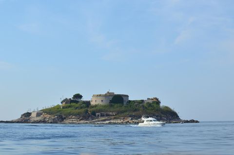 Mamula 