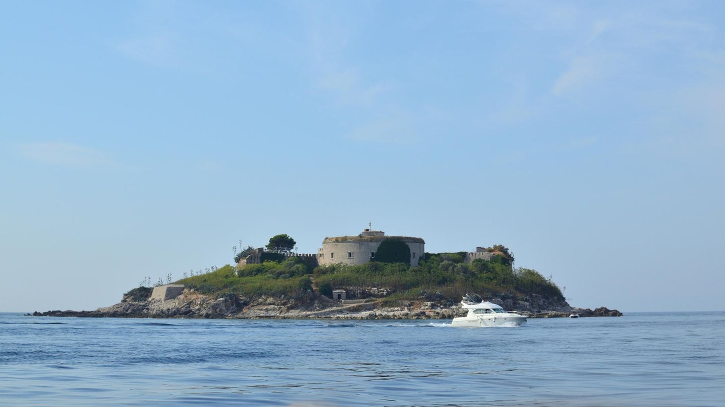 Mamula 