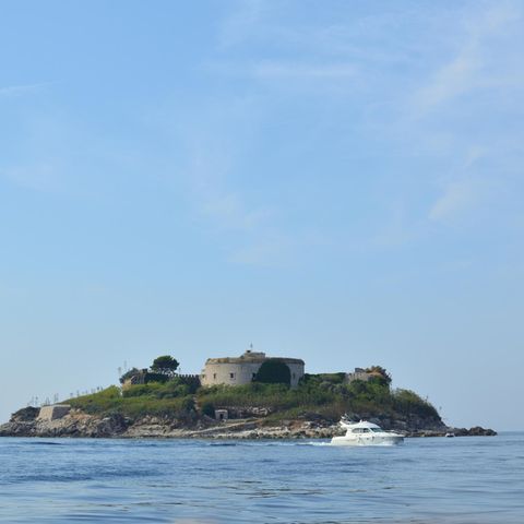 Mamula 