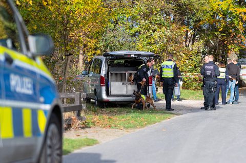 Die Polizei sichert nach dem Auffinden des Mädchens in einem Waldstück im Münsterland Spuren