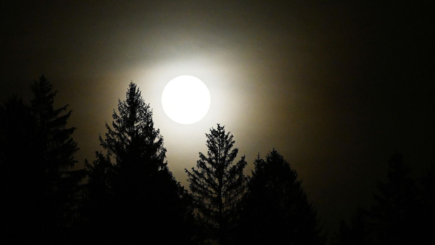 Der Mond über einem Bergwald in Garmisch-Partenkirchen