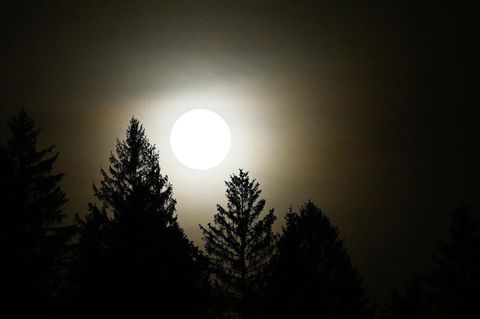 Der Mond über einem Bergwald in Garmisch-Partenkirchen