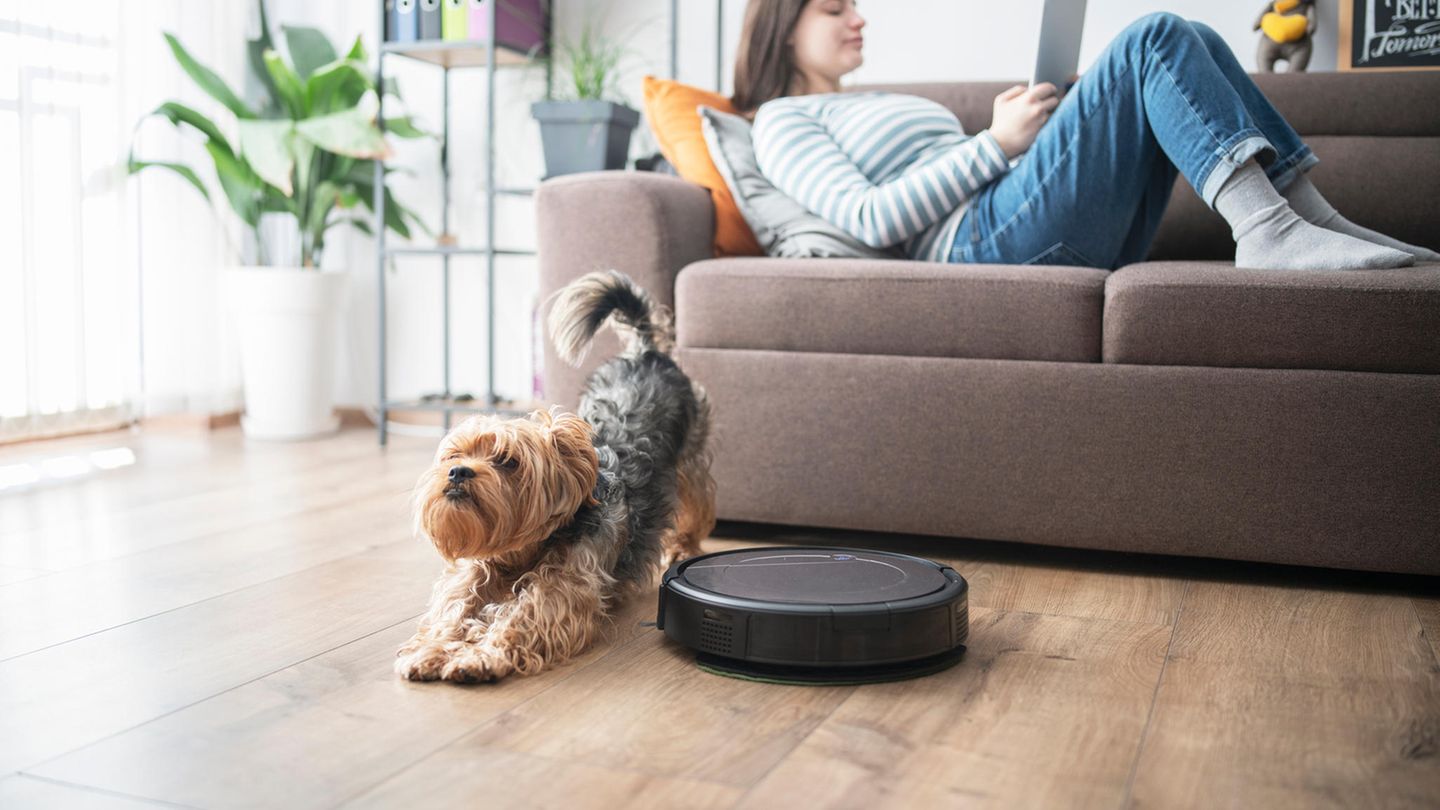 So störungsfrei arbeiten die kleinen Roboter nicht.