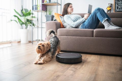 So störungsfrei arbeiten die kleinen Roboter nicht.