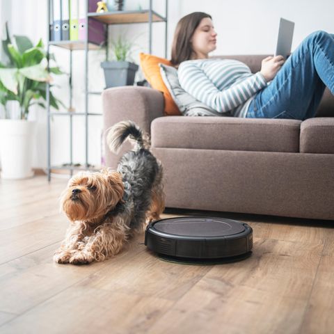 So störungsfrei arbeiten die kleinen Roboter nicht.