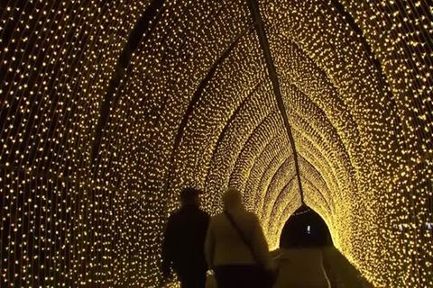 Video: London: Lichter an zur Vorweihnachtszeit
