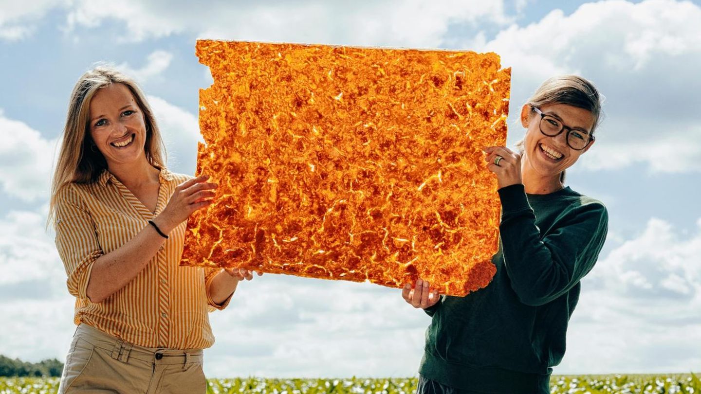 Anne Lamp (l.) und Johanna Baare mit einer Platte aus ihrem Biomaterial