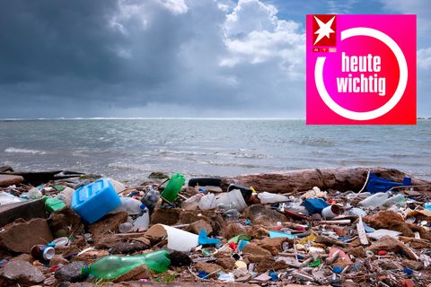 Plastikmüll heute wichtig
