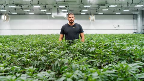 Niklas Kouparanis in einem Gewächshaus