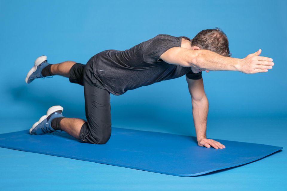 Exercise 8: Birddog
