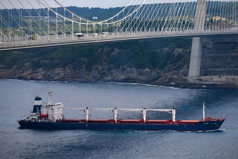 Das erste Getreideschiff aus der Ukraine