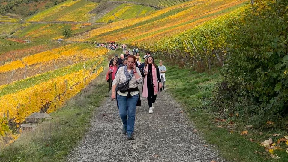 Eine Gruppe Ufa-Mitarbeitende läuft auf einem Feldweg Eine Gruppe Ufa-Mitarbeitende läuft auf einem Feldweg