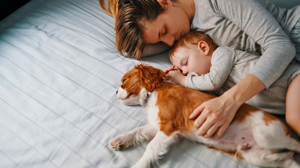 Frau kuschelt mit Baby und Hund, die schlafen