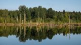 Schwenninger Moos