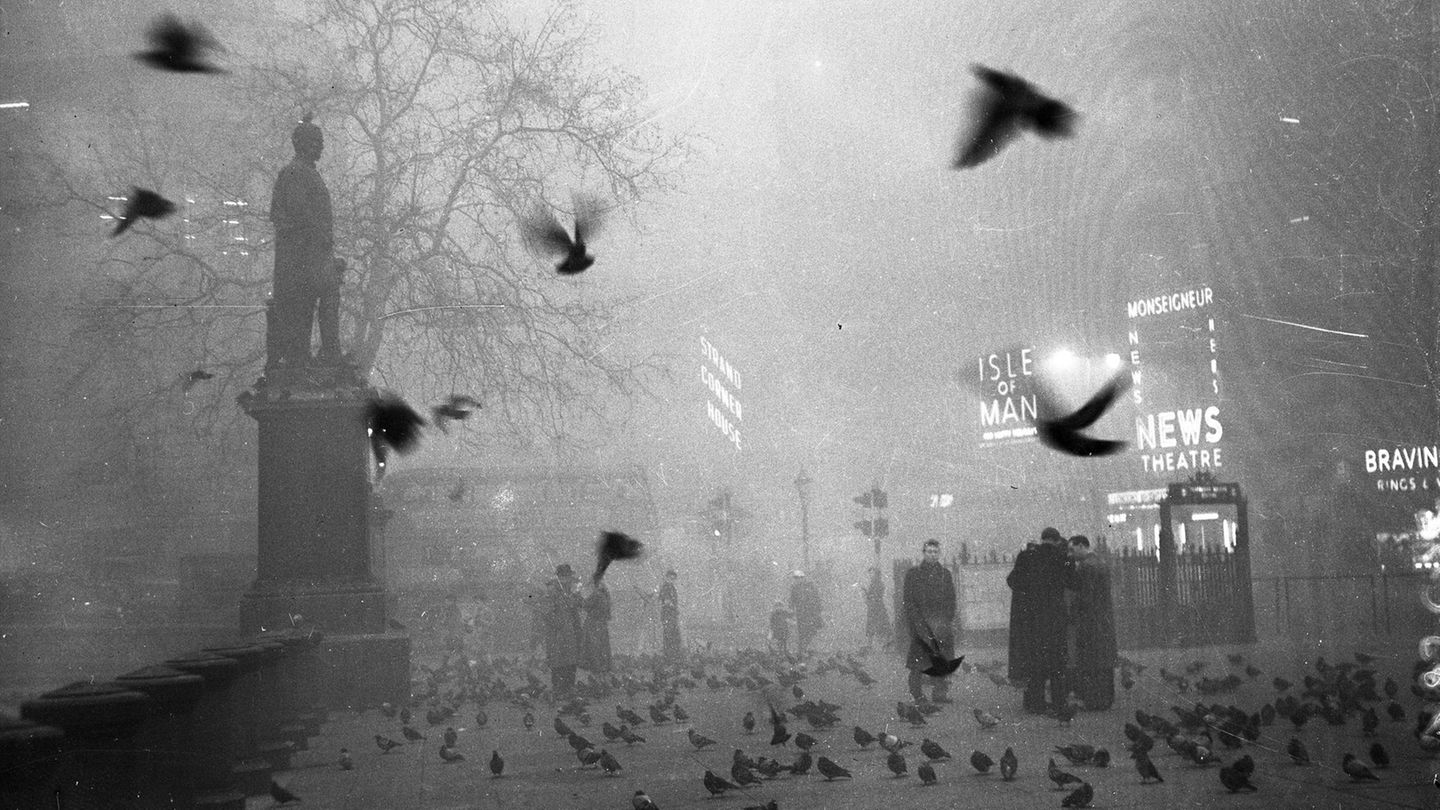Passanten und Tauben am berühmten Trafalgar Square