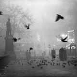 Passanten und Tauben am berühmten Trafalgar Square