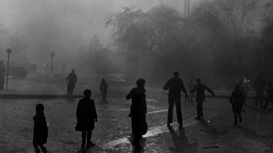 Smog in London 1952: Szene bei einem Teich im Park Hampstead Heath