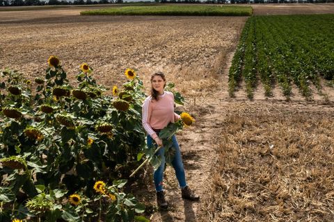 Kathrin Grahmann in einem Sonnenblumenfeld
