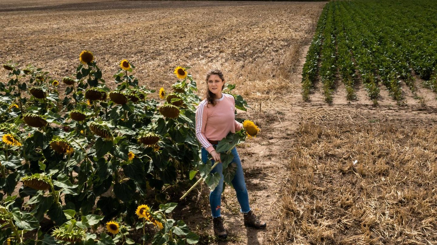 Kathrin Grahmann in einem Sonnenblumenfeld